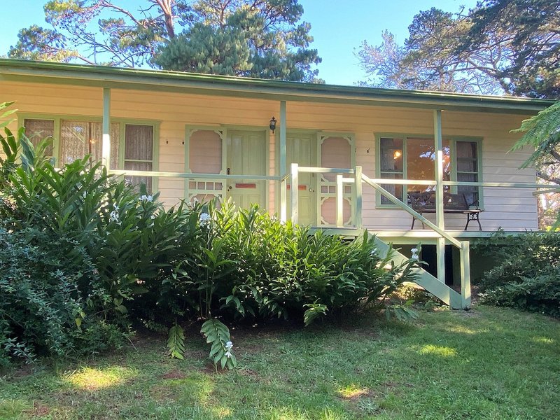 4705 Waterfall Way, Dorrigo NSW 2453