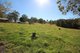 Photo - 471 Burridge Road, Tandur QLD 4570 - Image 15