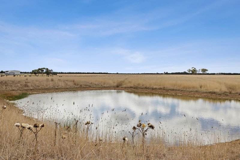 Photo - 472 Boggy Gate Road, Clarkefield VIC 3430 - Image 7