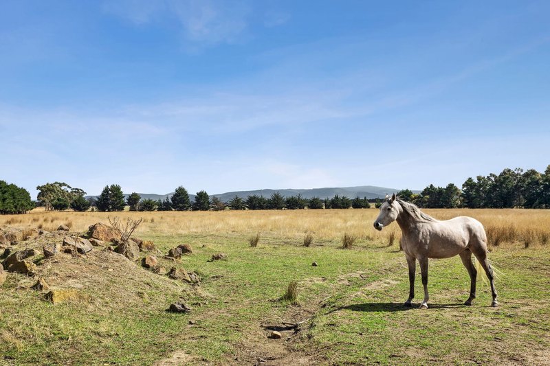 Photo - 472 Boggy Gate Road, Clarkefield VIC 3430 - Image 16