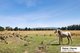 Photo - 472 Boggy Gate Road, Clarkefield VIC 3430 - Image 5