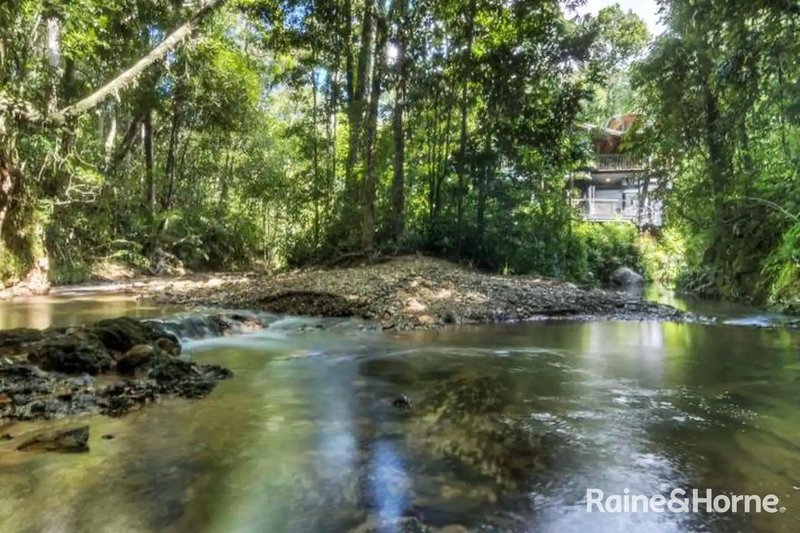 Photo - 472 Buchanan Creek Road, Cow Bay, Daintree QLD 4873 - Image 2