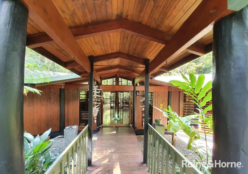 Photo - 472 Buchanan Creek Road, Cow Bay, Daintree QLD 4873 - Image 8