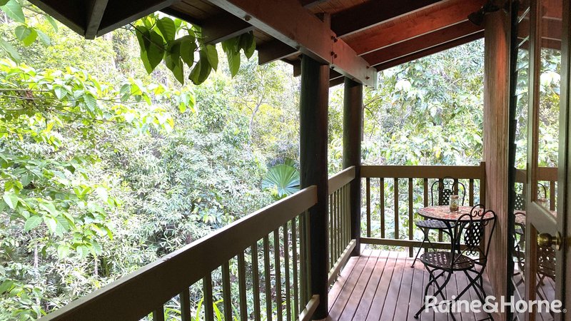 Photo - 472 Buchanan Creek Road, Cow Bay, Daintree QLD 4873 - Image 10