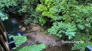 Photo - 472 Buchanan Creek Road, Cow Bay, Daintree QLD 4873 - Image 18