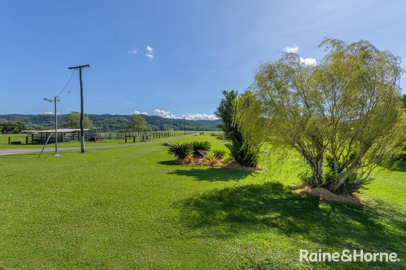 Photo - 472 Miallo Bamboo Creek Road, Bamboo QLD 4873 - Image 33