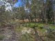 Photo - 475 Greberts Road, Stockyard Creek NSW 2460 - Image 12