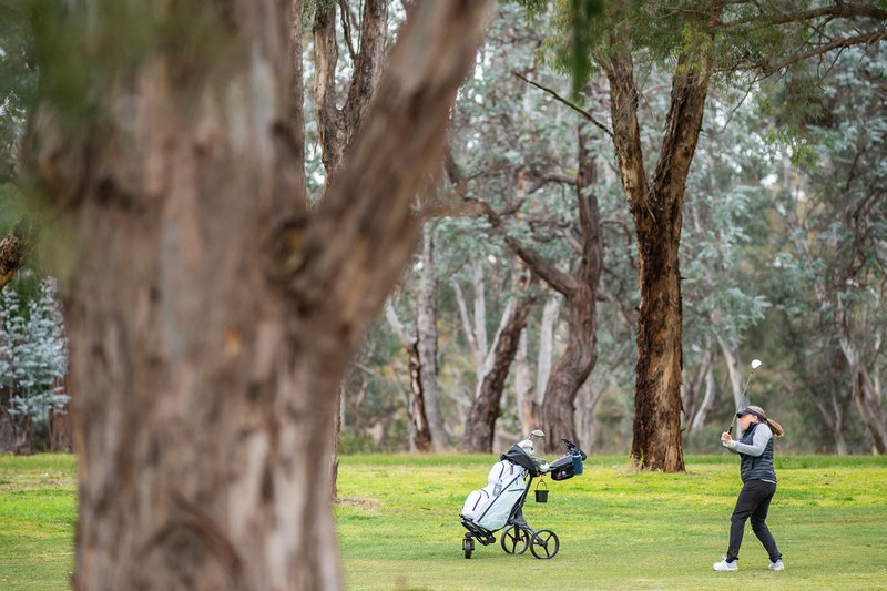 Photo - 4/77 Britten-Jones Drive, Holt ACT 2615 - Image 16