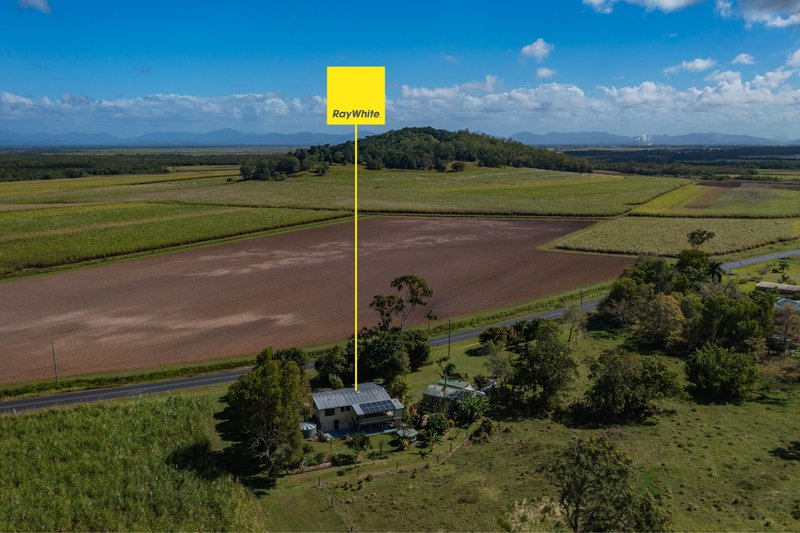 Photo - 477 Conway Road, Preston QLD 4800 - Image 19