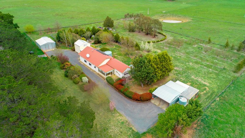 Photo - 477 Greghamstown Road, Blayney NSW 2799 - Image 21