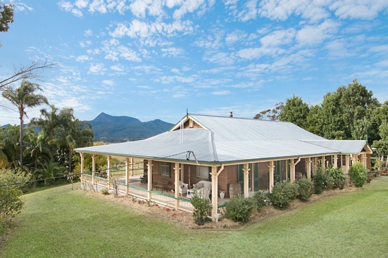 Photo - 477 Pinnacle Road, Tyalgum NSW 2484 - Image 4