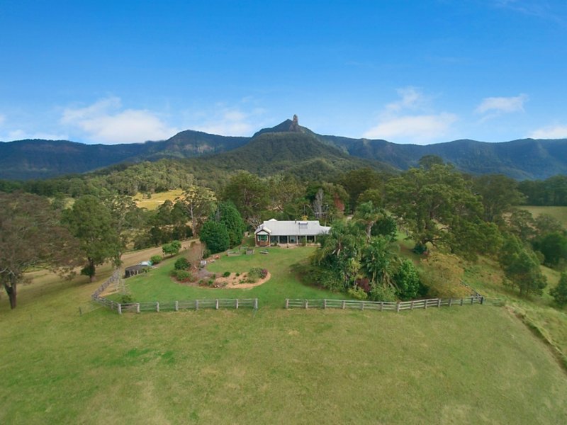 Photo - 477 Pinnacle Road, Tyalgum NSW 2484 - Image 16