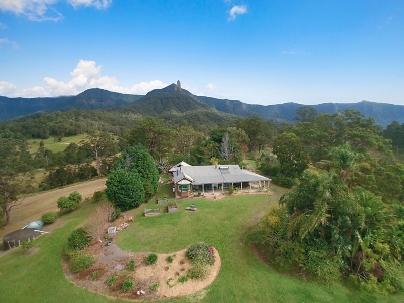 Photo - 477 Pinnacle Road, Tyalgum NSW 2484 - Image 17