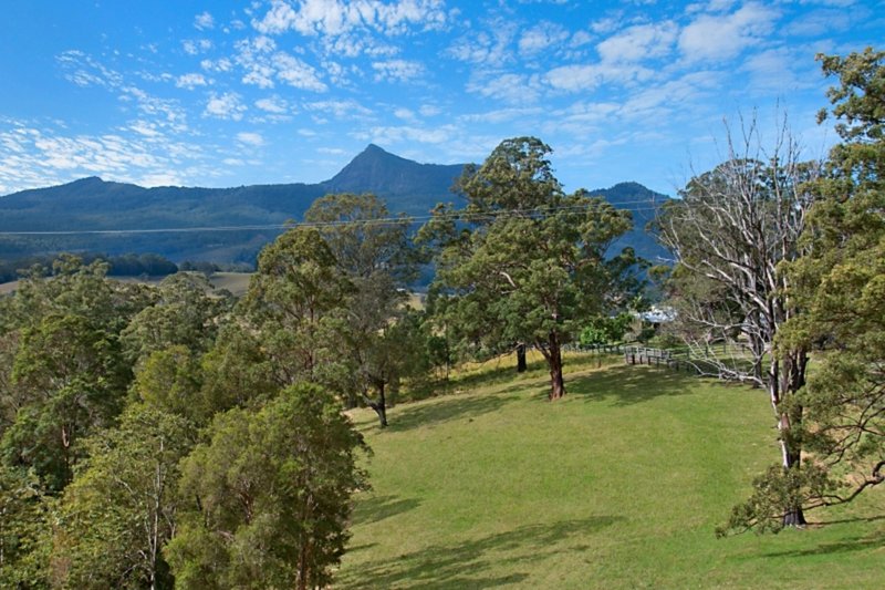 Photo - 477 Pinnacle Road, Tyalgum NSW 2484 - Image 20