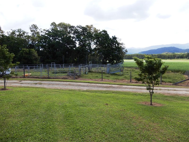 Photo - 4779 Mackay-Eungella Rd , Finch Hatton QLD 4756 - Image 6