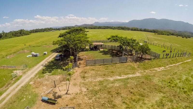 Photo - 479 Miallo Bamboo Creek Road, Bamboo QLD 4873 - Image 25