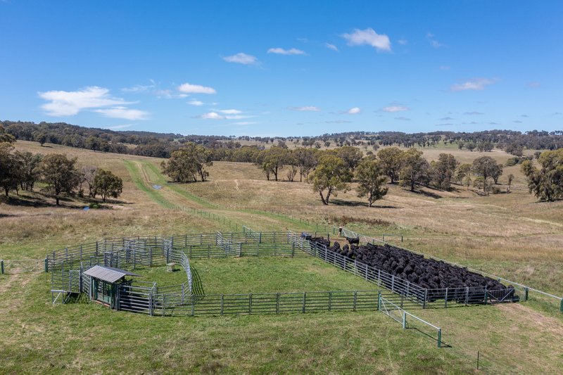 479 Whans Road, Llangothlin NSW 2365