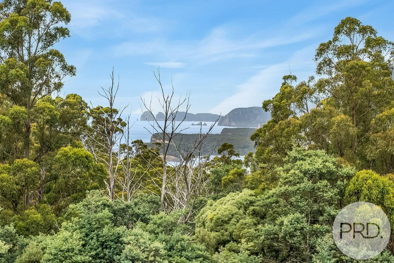 Photo - 4796 Arthur Highway, Eaglehawk Neck TAS 7179 - Image 5