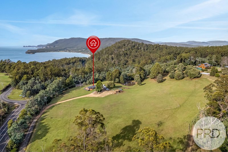 Photo - 4796 Arthur Highway, Eaglehawk Neck TAS 7179 - Image 25