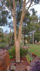 Photo - 47B Gallagher Road, Tamworth NSW 2340 - Image 5