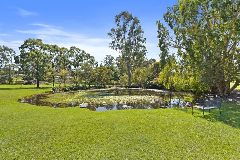 Photo - 48-50 Mcivor Court, Ormeau QLD 4208 - Image 30