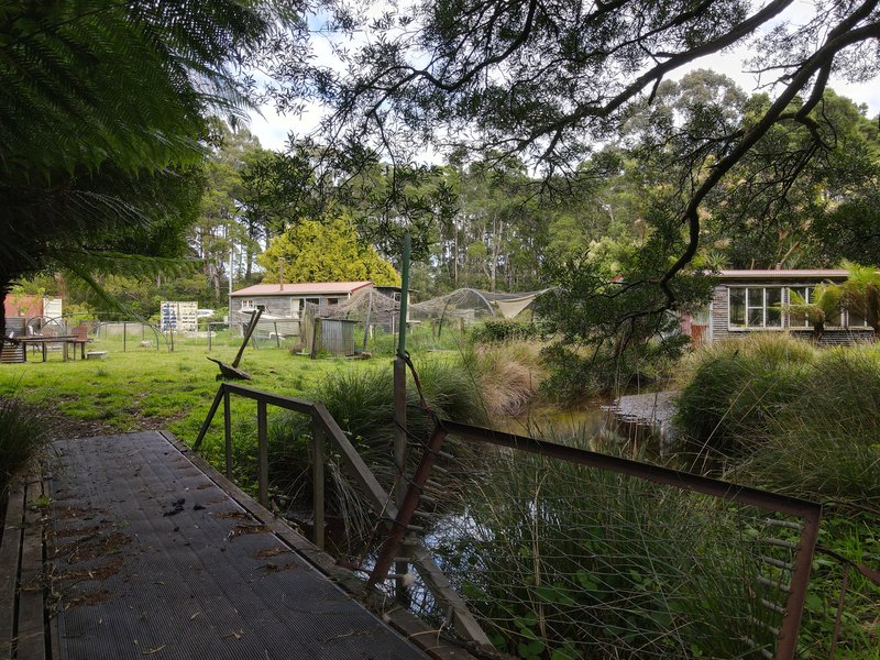 Photo - 48 Andrew Street, Strahan TAS 7468 - Image 13