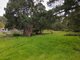 Photo - 48 Andrew Street, Strahan TAS 7468 - Image 14