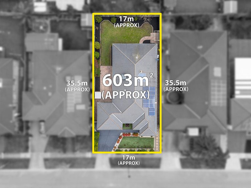 Photo - 48 Balladonia Gum Circuit, Lyndhurst VIC 3975 - Image 14