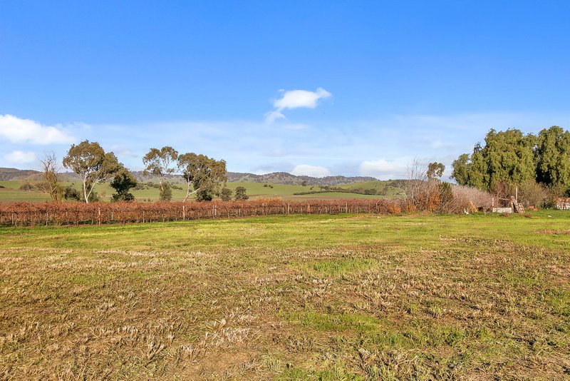 48 Barossa Valley Way, Lyndoch SA 5351