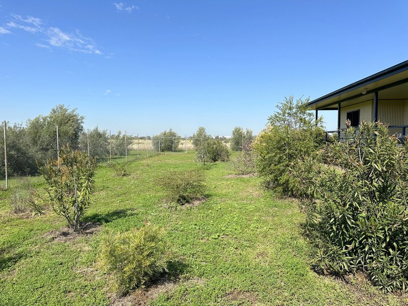 Photo - 48 Bingara Road, Moree NSW 2400 - Image 27