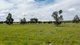 Photo - 48 Eurunderee Road, Quipolly NSW 2343 - Image 3