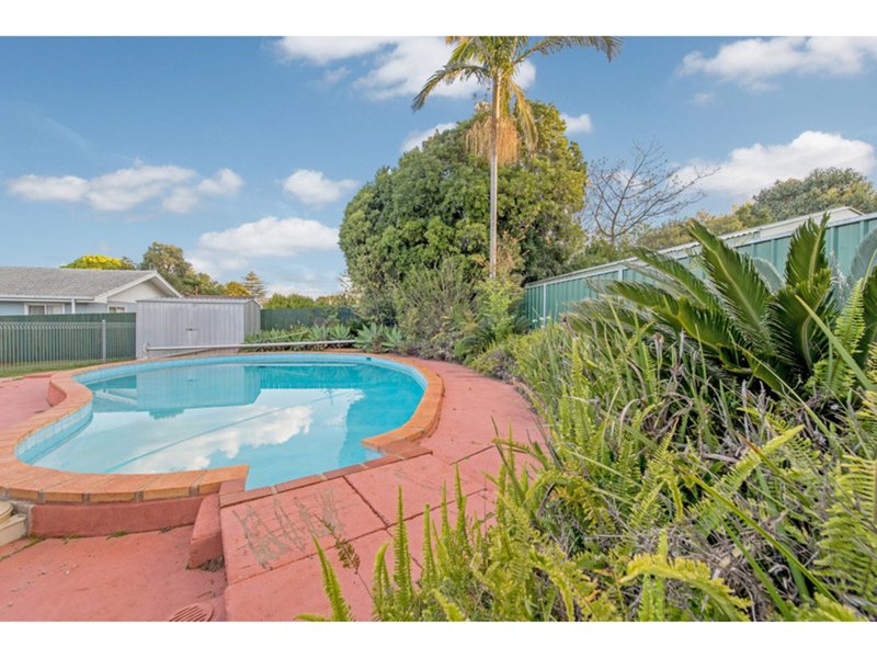 Photo - 48 Flinders Street, Centenary Heights QLD 4350 - Image 15