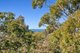 Photo - 48 Grover Avenue, Cromer NSW 2099 - Image 2