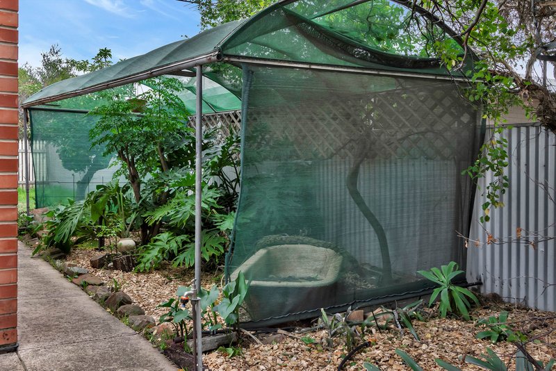 Photo - 48 Hatch Street, Nuriootpa SA 5355 - Image 22