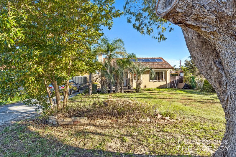 Photo - 48 Hepburn Way, Balga WA 6061 - Image 15