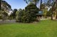 Photo - 48 Hunter Street, Ferntree Gully VIC 3156 - Image 17