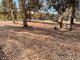 Photo - 48 Kaufmann Close, Boyup Brook WA 6244 - Image 30