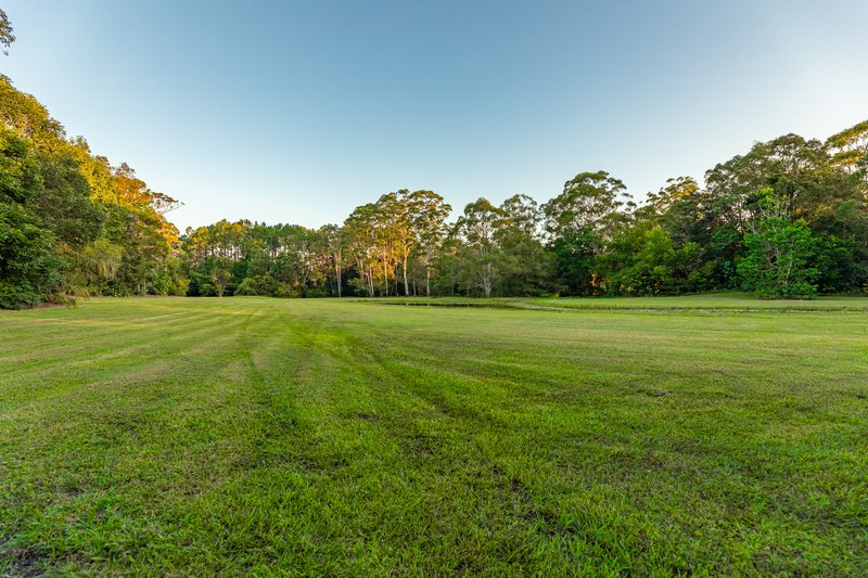 Photo - 48 London Creek Road, Peachester QLD 4519 - Image 6