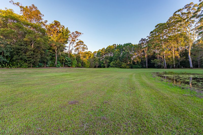 Photo - 48 London Creek Road, Peachester QLD 4519 - Image 7