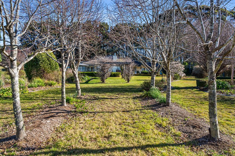 Photo - 48 Manning Lookout Road, Fitzroy Falls NSW 2577 - Image 31