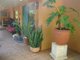 Photo - 48 Plumbago Crescent, Alice Springs NT 0870 - Image 5