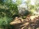 Photo - 48 Plumbago Crescent, Alice Springs NT 0870 - Image 6