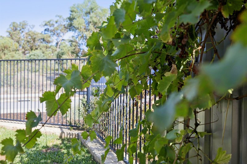 Photo - 48 Portobello Parade, Wellard WA 6170 - Image 33