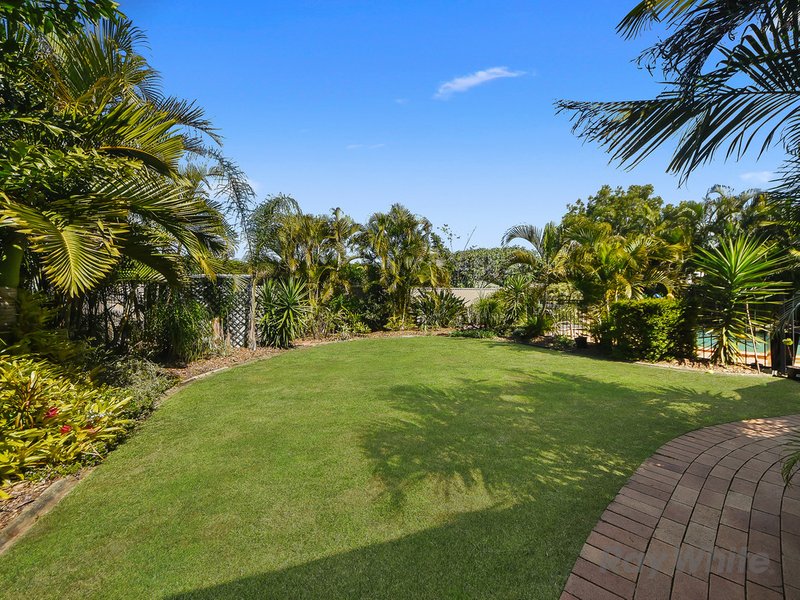 Photo - 48 Somerton Street, Bracken Ridge QLD 4017 - Image 22