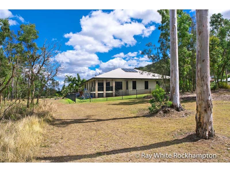 Photo - 48 Sunset Drive, Norman Gardens QLD 4701 - Image 21