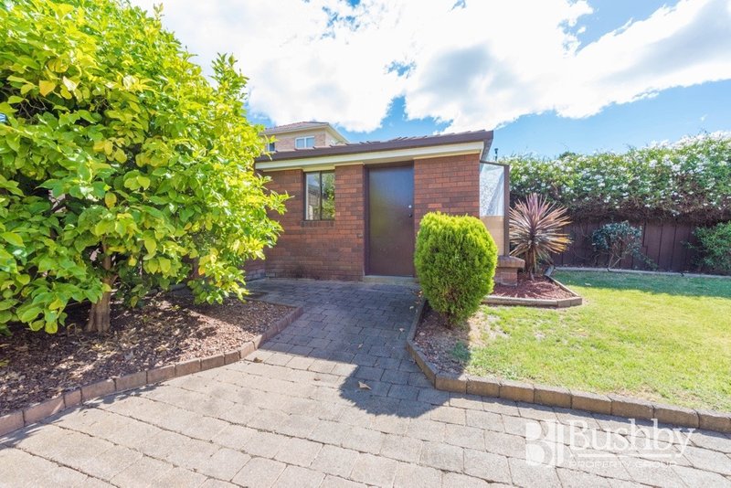 Photo - 48 Walden Street, Newstead TAS 7250 - Image 15