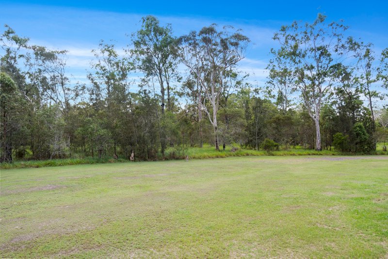 Photo - 48 Wau Road, Darra QLD 4076 - Image 12