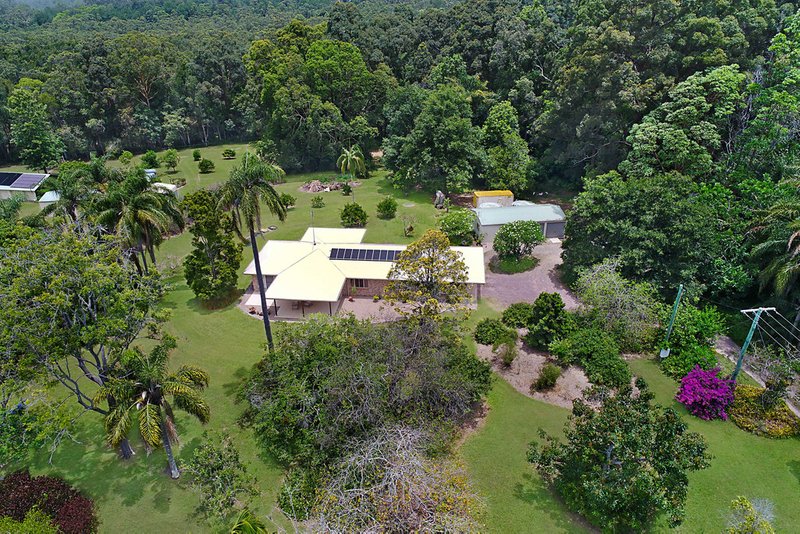 Photo - 48 Winston Road South, Palmwoods QLD 4555 - Image 2