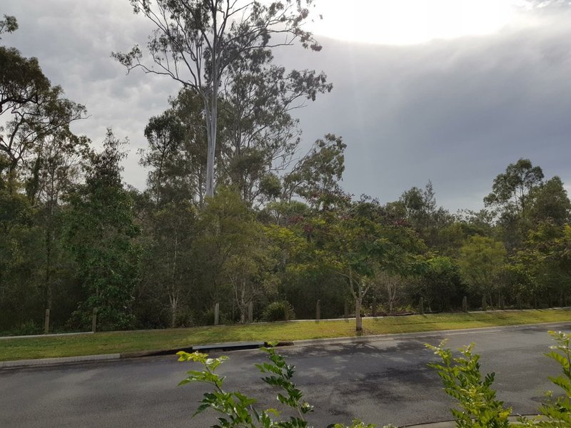 Photo - 48 Wyndham Circuit, Holmview QLD 4207 - Image 13