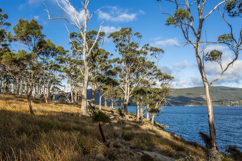 Photo - 48 Youngs Road, North Bruny TAS 7150 - Image 5